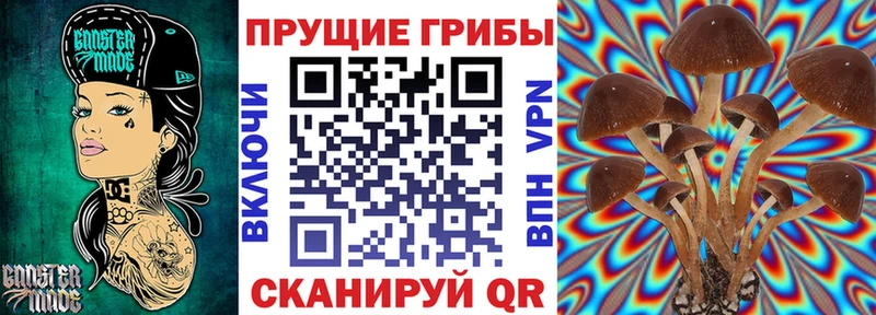 Псилоцибиновые грибы GOLDEN TEACHER  Тосно 